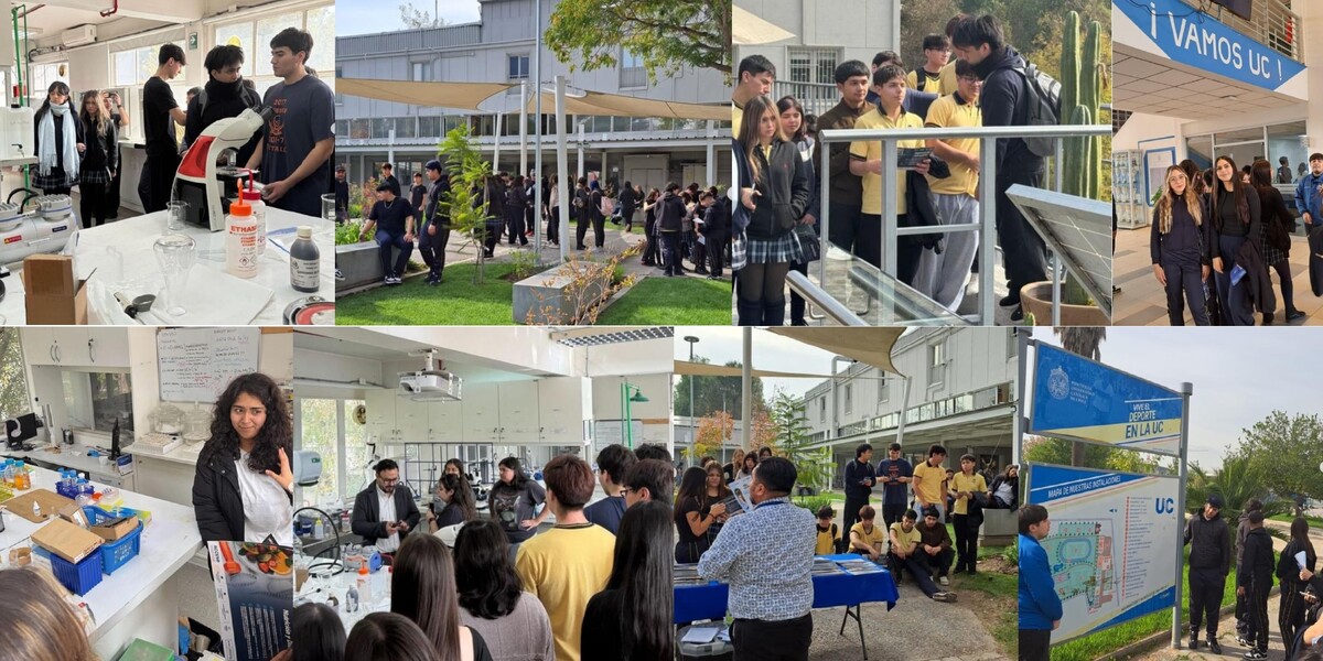 UNIVERSIDAD 3